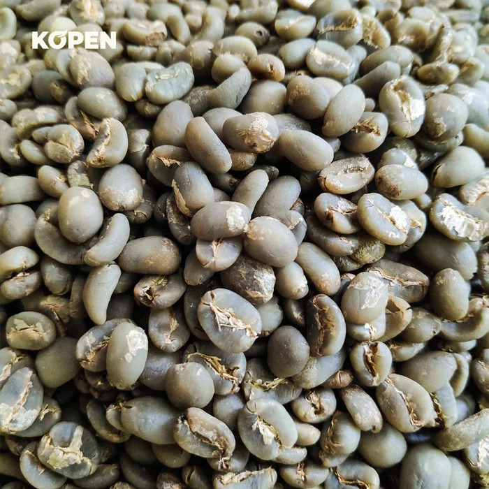 Gayo Arabica