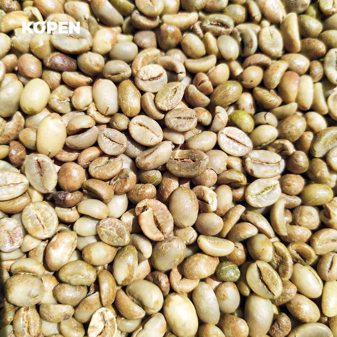 Green Bean Coffee Supplier From Indonesia
