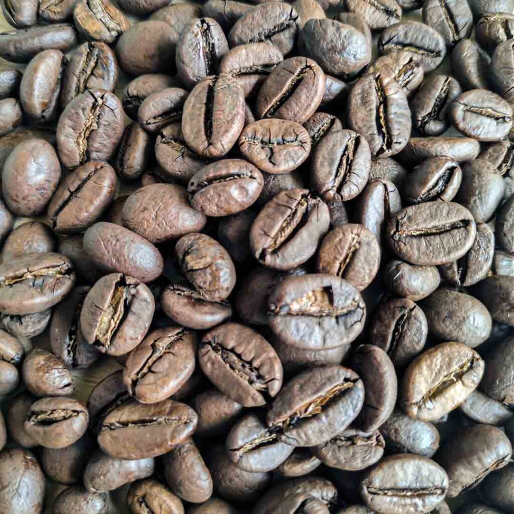 roasted bean coffee supplier